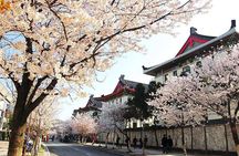 Nanjing Private Flexible Day Tour with Professional Guide and Driver Service