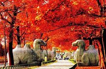 All Inclusive Nanjing City Private Day Tour with Tailor-Made Highlights