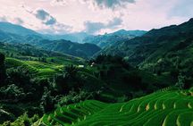 Stunning Terraced Rice Fields on 2-Day Trekking 