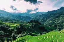 Stunning Terraced Rice Fields on 2-Day Trekking 