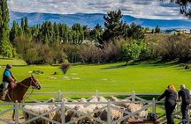 Country Afternoon with Dinner Show - Estancia 25 de Mayo