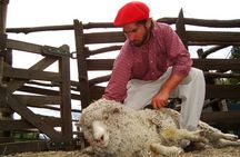 Country Afternoon with Dinner Show - Estancia 25 de Mayo