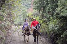 Private Horseback riding and wines from Santiago