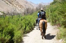 Private Horseback riding and wines from Santiago
