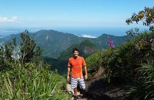Tijuca Rainforest Hiking Tour in Rio de Janeiro