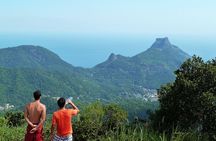 Tijuca Rainforest Hiking Tour in Rio de Janeiro