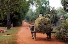 Tuk Tuk Journey: Exploring Rural Life and Silk Farm Craftsmanship
