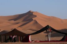 Premium Full-Day Safari, Dune Bash, Camel Ride and BBQ Meal in Desert Camp