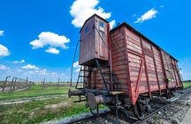 Wieliczka Salt Mine and Auschwitz-Birkenau Tour