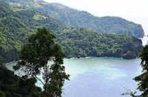 Trinidad Northern Eco-Cultural Full-Day Highlights Tour from Port of Spain