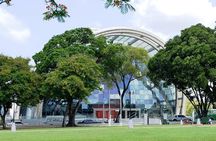 Trinidad Northern Eco-Cultural Full-Day Highlights Tour from Port of Spain