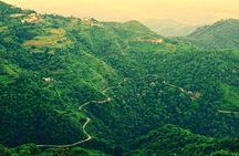 Paramin Mountains Jeep Tour