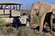 Private return transfers from Cape Town to Sanbona Wildlife Reserve