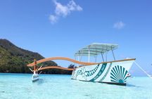 6-hour Snorkeling & Lunch Tour - Private Tour