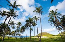 Full day Easter island Shared Tour 