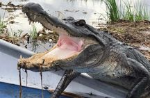 Private New Orleans Airboat Adventure for 1-8 Passengers