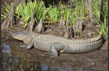 Private New Orleans Airboat Adventure for 1-8 Passengers