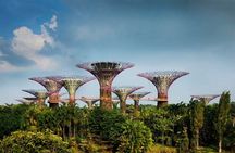 BEST Singapore Private City Tour by an Insider (1/2/3 x full-day)