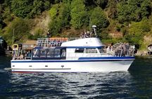 Shared Sunset Cruise from Gig Harbor on Puget Sound