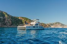 Luxury Catamaran Whale Watching Cabo San Lucas