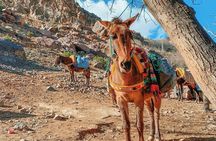 Atlas Mountain & Camel ride, day trip