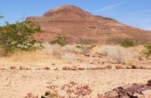  Private Highlights of Moon Landscape and Welwitschia Tour