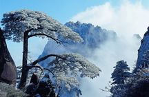 Private Photography Day Tour of Huangshan Yellow Mountain
