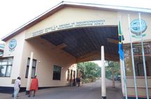 Ngorongoro Adventure Day Tour from Arusha