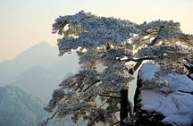 2-Day Huangshan and Hongcun Village Private Tour from Shanghai by Bullet Train 