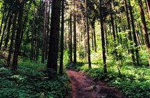 Private eclectic hiking experience of Samobor Hills