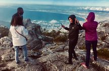 Private Tour: Table Mountain, Penguin Colony & Cape of Good Hope incl. Park Fees