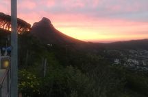 Private Tour: Table Mountain, Penguin Colony & Cape of Good Hope incl. Park Fees
