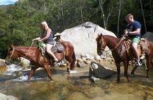 Fun Horseback Tour in Mismaloya