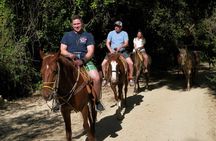 Fun Horseback Tour in Mismaloya