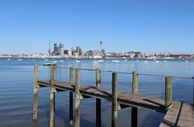 Half-Day: Small Group Auckland Scenic Tour - 4 HOURS