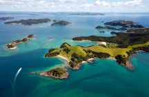 Bay of Islands Cruise & Island Tour - Snorkel, Hike,Swim,Wildlife