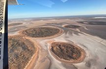 Scenic Plane Flight: Lizard Safari