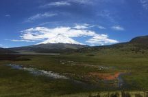 Cotopaxi Volcano (PRIVATE Day Trip from Quito)