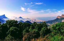 Rio Nature Secrets - The Eco Citytour (small group or private) 