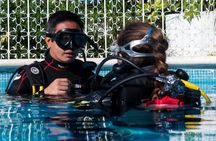 Two reef discovery dives with professional instructor (no experience necessary) 