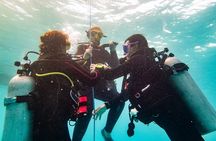 Two reef discovery dives with professional instructor (no experience necessary) 