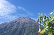 Andes & Amazon, the Triangle Route 5 Days / 4 Nights (PRIVATE Trip from Quito)