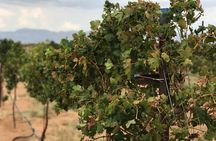 Scenic Desert Wine Distillery Brewery Route 66 Tour