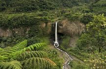 Andes & Amazon, the Triangle Route 5 Days / 4 Nights (PRIVATE Trip from Quito)