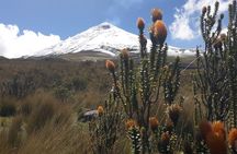 Andes & Amazon, the Triangle Route 5 Days / 4 Nights (PRIVATE Trip from Quito)