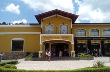 São Roque Wineries Route from São Paulo