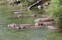 2 DAYS TSAVO EAST SENTRIM CAMP (Cost Based on Minimum 2 persons)