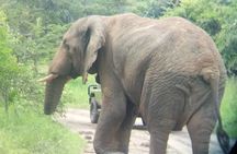 Akagera National Park Full Day Private Tour