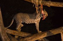 2 DAYS TSAVO EAST SENTRIM CAMP (Cost Based on Minimum 2 persons)