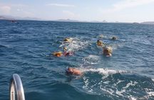 3-Days Sailing Komodo Island,Padar & Manta Point departure every Friday